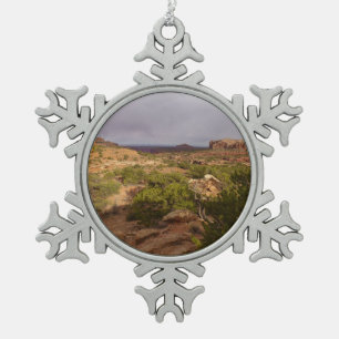 Neck Springs Trail in Canyonlands National Park Tin Sneeuwvlok Ornament