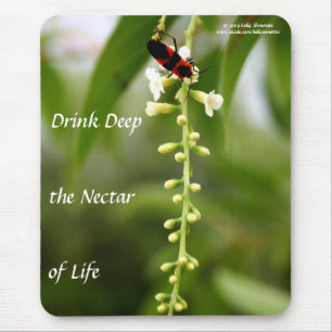 Nectar of Life Muismat