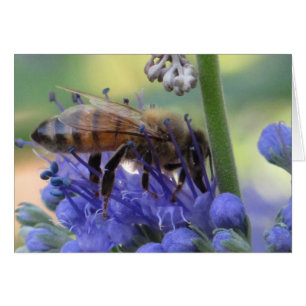 Nectar potable d'abeille