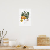Nectarine Poster (Keuken)