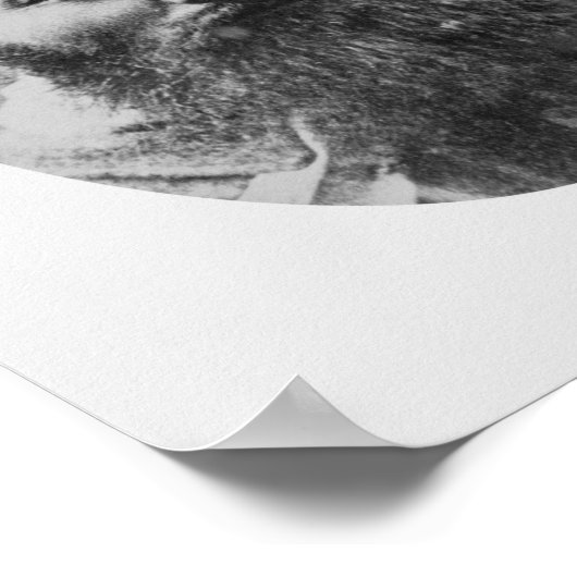 Ned Kelly Mugshot - 1880 Poster (Hoek)