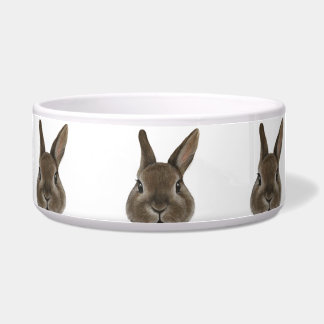 Nederland Dwarf konijn Bruin keramiek Voerbakje