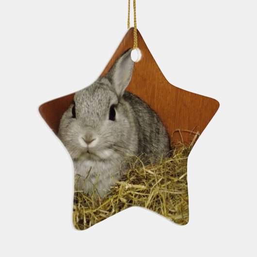 Nederland Dwarf Rabbit Keramisch Ornament (Rechts)