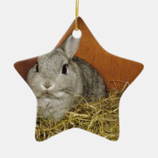 Nederland Dwarf Rabbit Keramisch Ornament