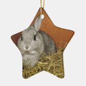 Nederland Dwarf Rabbit Keramisch Ornament (Links)