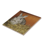 Nederland Dwarf Rabbit Tegeltje (Zijkant)
