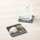 Nederland Dwarf Rabbits Onderzetter (Rechterzijde)