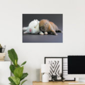 Nederland Dwarf Rabbits Poster (Thuiskantoor)