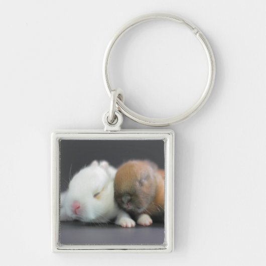Nederland Dwarf Rabbits Sleutelhanger (Voorkant)
