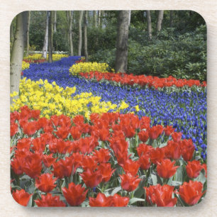 Nederland, Holland, Lisse, Keukenhof Tuinen Drankjes Onderzetter