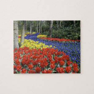 Nederland, Holland, Lisse, Keukenhof Tuinen Legpuzzel