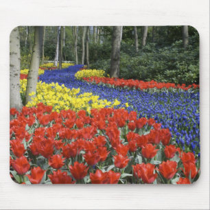 Nederland, Holland, Lisse, Keukenhof Tuinen Muismat