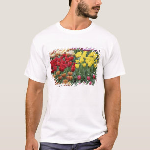 Nederland, Keukenhoff Gardens, tulpen. T-shirt