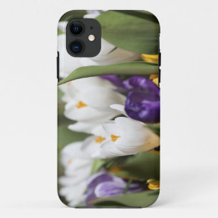 Nederland, Keukenhoff-tuinen, Tulpen. iPhone 11 Hoesje
