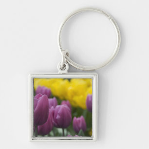 Nederland, Lisse. Keukenhof 10 Sleutelhanger