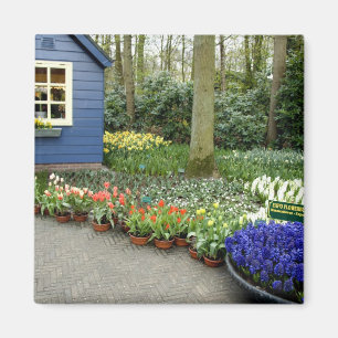 Nederland, Lisse. Keukenhof 11 Magneet