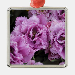 Nederland, Lisse. Keukenhof 2 Metalen Ornament
