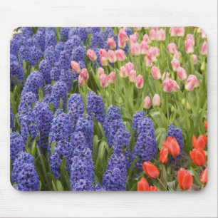 Nederland, Lisse. Keukenhof 2 Muismat