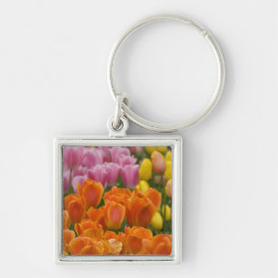 Nederland, Lisse. Keukenhof 4 Sleutelhanger