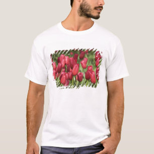 Nederland, Lisse. Keukenhof 4 T-shirt