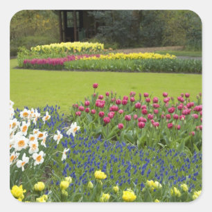 Nederland, Lisse. Keukenhof 5 Vierkante Sticker