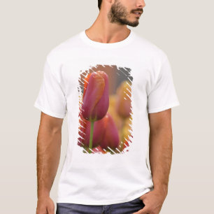 Nederland, Lisse. Keukenhof 6 T-shirt
