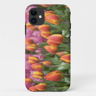 Nederland, Lisse. Keukenhof iPhone 11 Hoesje