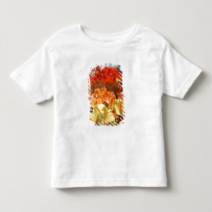 Nederland, Lisse. Keukenhof Kinder Shirts