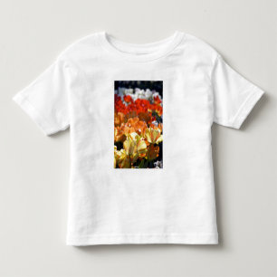 Nederland, Lisse. Keukenhof Kinder Shirts