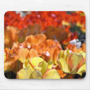Nederland, Lisse. Keukenhof Muismat