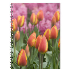 Nederland, Lisse. Keukenhof Notitieboek
