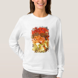 Nederland, Lisse. Keukenhof T-shirt