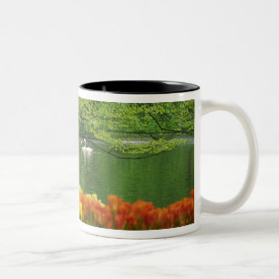 Nederland, Lisse. Witte zwanen op vijver te midden Tweekleurige Koffiemok