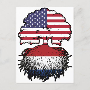 Nederland Nederland Amerikaanse Verenigde Staten Briefkaart