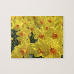 Nederland, Nederland, Nederland, Lisse, Keukenhof  Legpuzzel