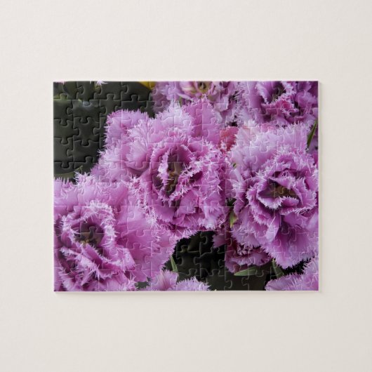 Nederland (ook bekend als Holland), Lisse. Keukenh Legpuzzel (Horizontaal)