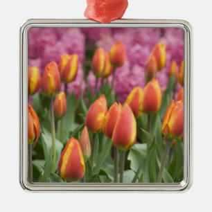 Nederland (ook bekend als Holland), Lisse. Keukenh Metalen Ornament