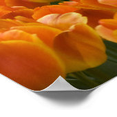 Nederland (ook bekend als Holland), Lisse. Keukenh Poster (Hoek)