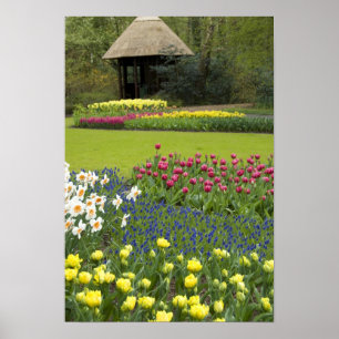 Nederland (ook bekend als Holland), Lisse. Keukenh Poster