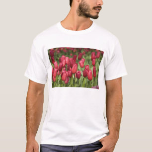 Nederland (ook bekend als Holland), Lisse. Keukenh T-shirt