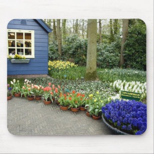 Nederland, ook wel Holland genoemd), Lisse. Keuken Muismat