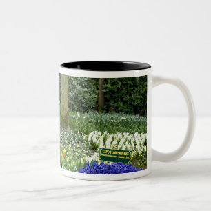 Nederland, ook wel Holland genoemd), Lisse. Keuken Tweekleurige Koffiemok