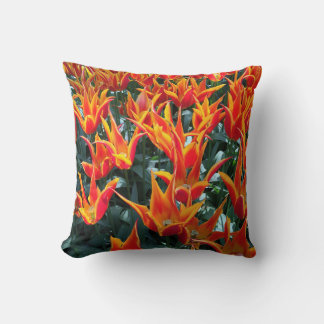 Nederland Tulips Keukenhof Pillow Europe Kussen