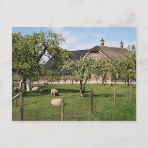 Nederlands boerderij briefkaart