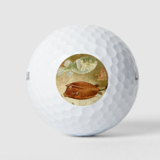 Nederlands Golfballen