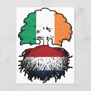 Nederlands - Ierse vlag voor boomstammen Briefkaart