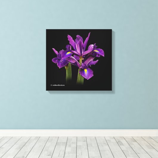 Nederlands Iris Paars Sensation Canvas Afdruk (Insitu (Houten vloer))