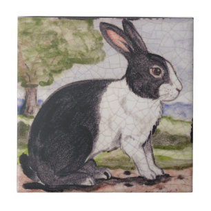 Nederlands konijn Bunny Black & White Landscape Pa Tegeltje