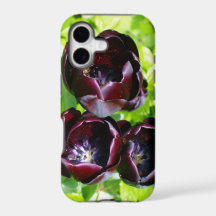 Nederlands Paars Groen Zwarte Tulpen Foto