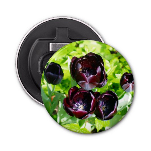  Nederlands Paars Groen Zwarte Tulpen Foto Button Flesopener (Voorkant)